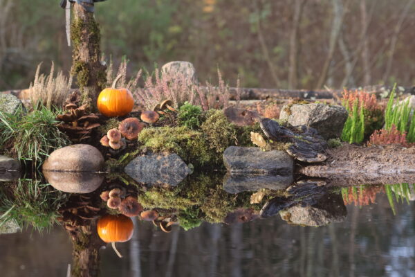 Reflection pool hide