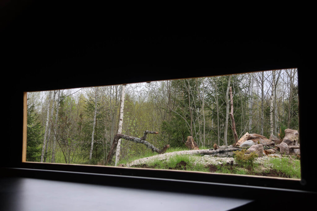 Reflection Pool Window in our wildlife photography hide