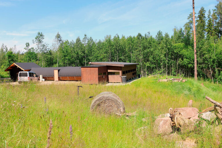 Our wildlife hide complex in Estonia in summer.