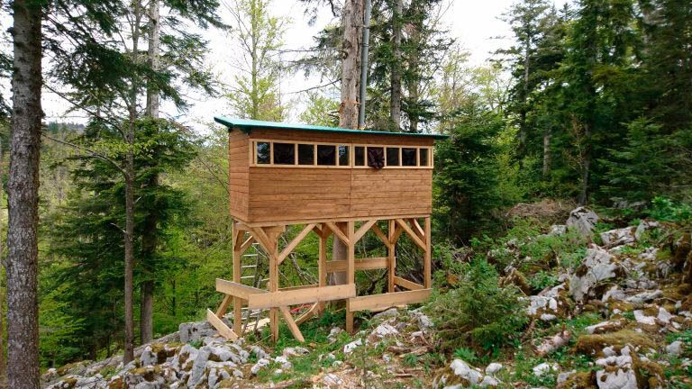 Brown Bear Photography Hide in Slovenia.