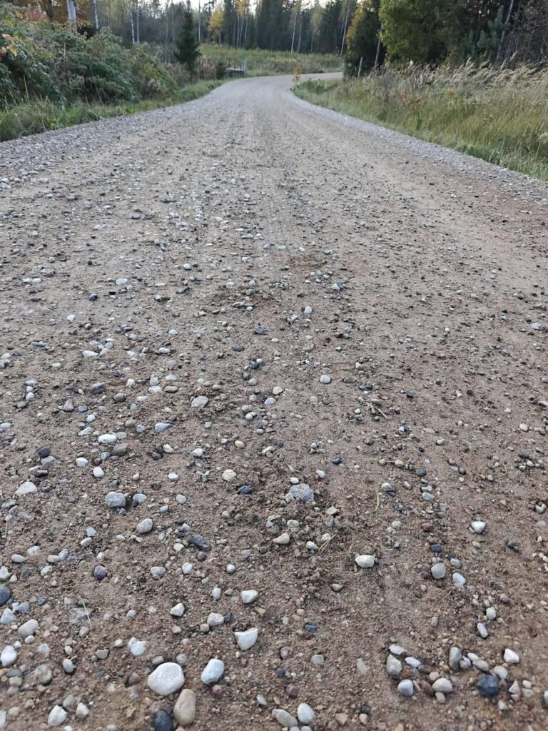 Bear paw print near our wildlife photographic hide in Estonia.