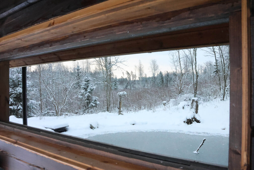 outside glass - what the wildlife see - Photo Logistics - The Best One-Way Photographic Glass in Wildlife Photography