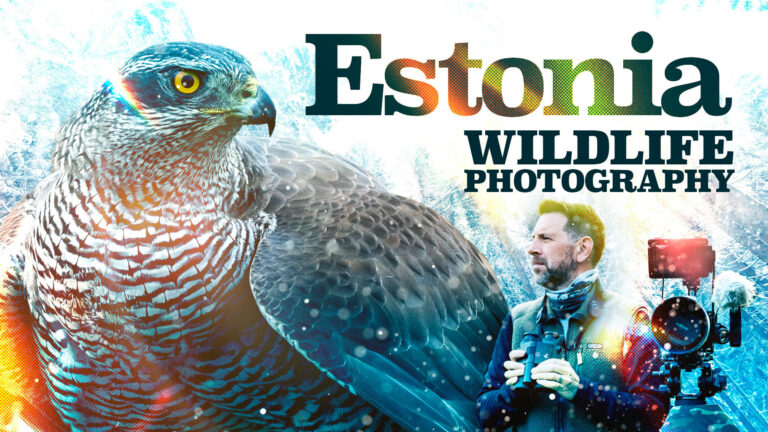 Video about Estonia - by Simon MCabe