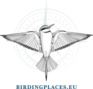 Birdingplaces logo