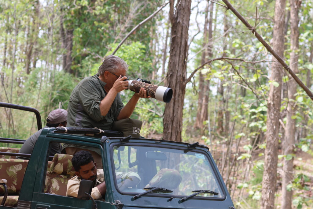 Wildlife Photography Safaris