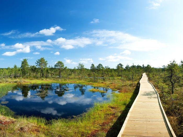 Bog Lahemaa National Park