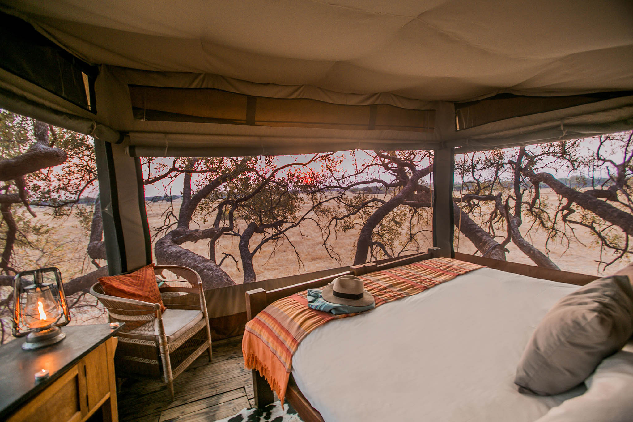 Doves Nest Treehouse Room, Wildlife Photography Safaris