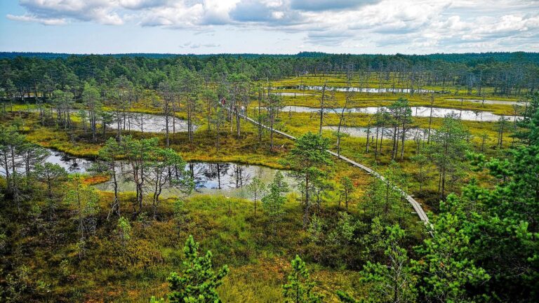 Lahemaa National Park