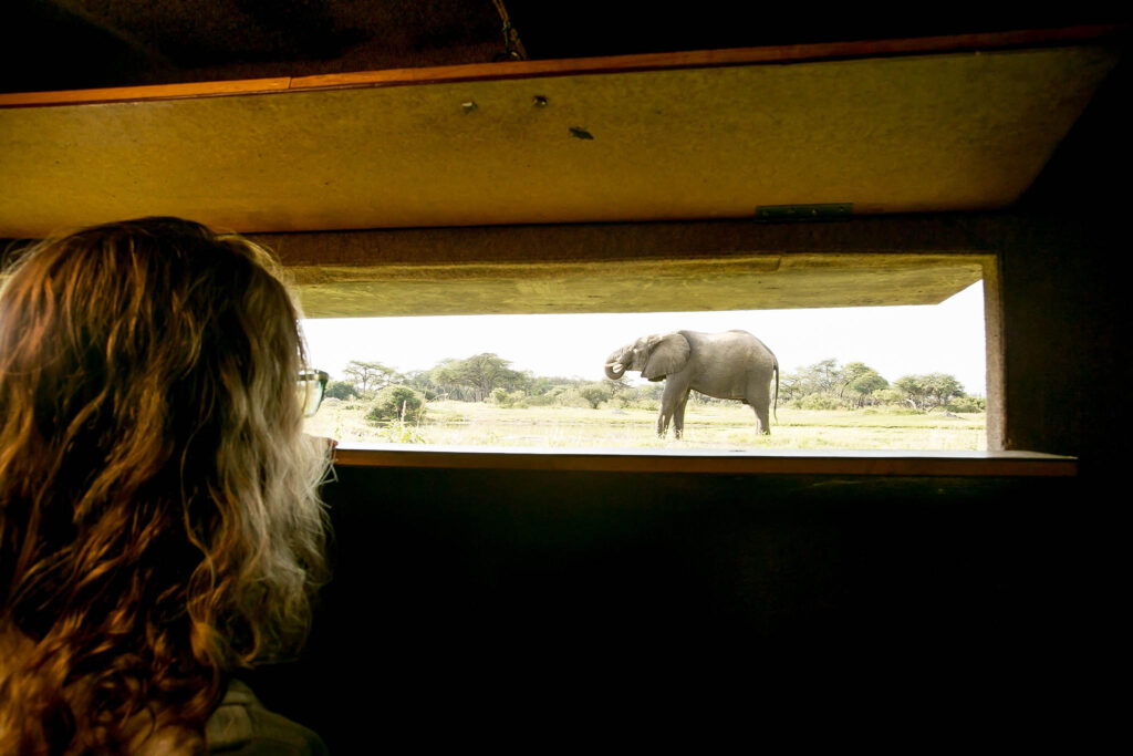 The Underground Wildlife Photography Hide in Africa.
