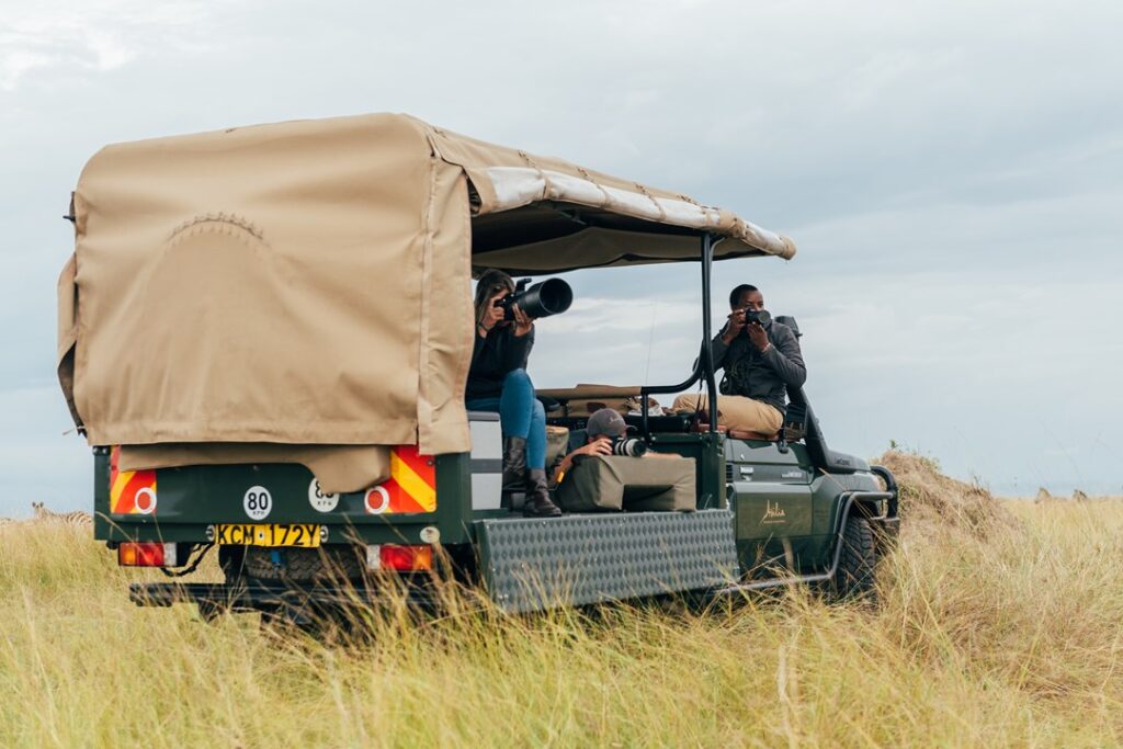 Wildlife Photography Safaris