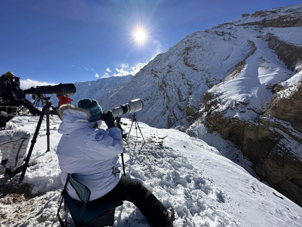 600mm with tripod snow leopard