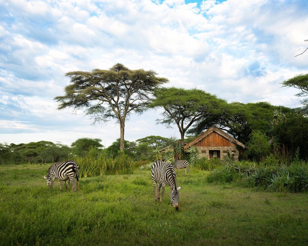 Ndutu safari lodge wildlife photography